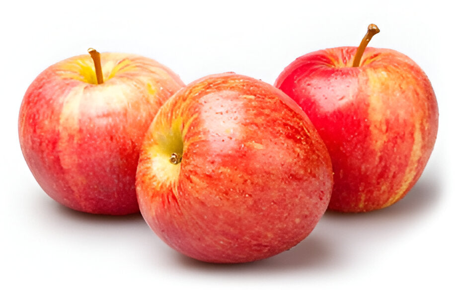 APPLE GALA EASTERN 125CT