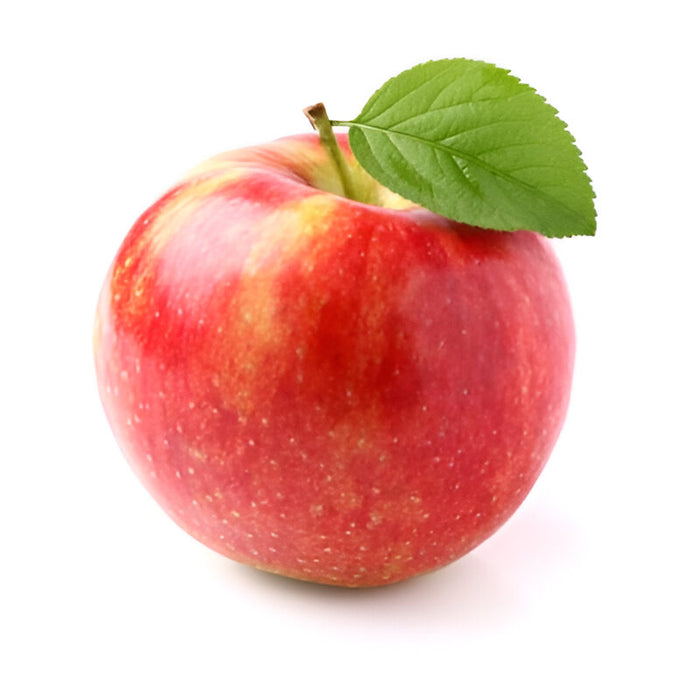 APPLE GALA XF 88CT