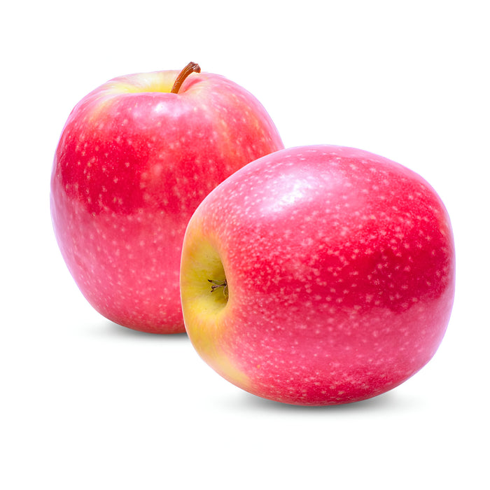 APPLE PINK LADY 88CT