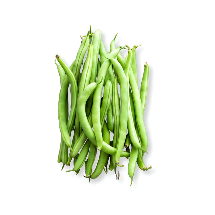 BEAN FRENCH 5LB