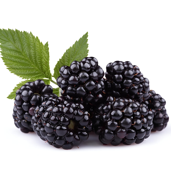 BLACKBERRY 12/6OZ