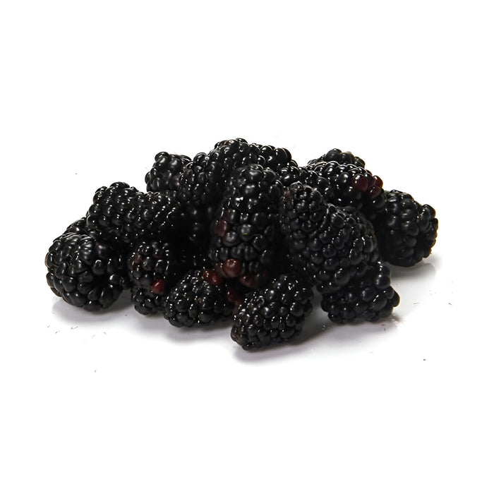 BLACKBERRY DRISCOLL 12/60Z