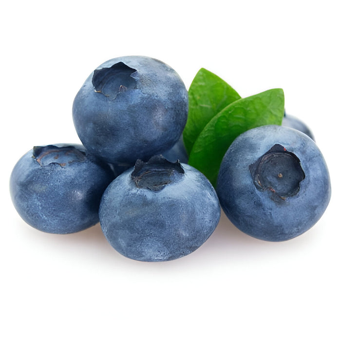 BLUEBERRY 12/PINT