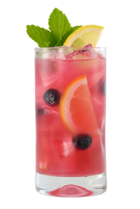 Blueberry Hibiscus Lemonade - 12oz - Pride Road, ASDS-AFRIVANA Bulk Wholesale Marketplace