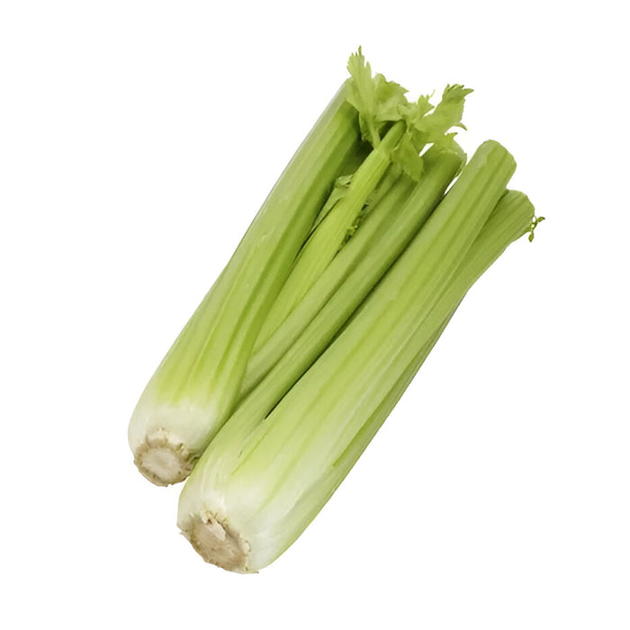 CELERY HEART 18CT