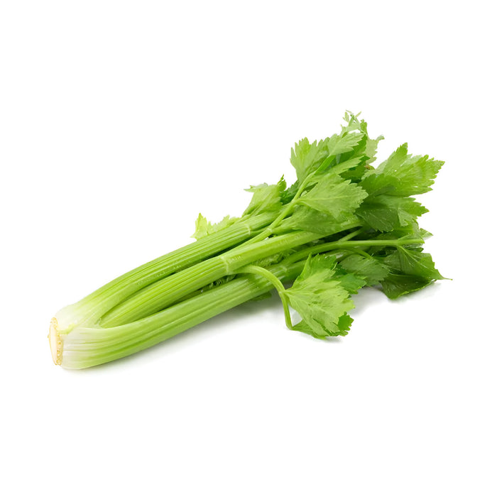 CELERY SLEEVED 36CT