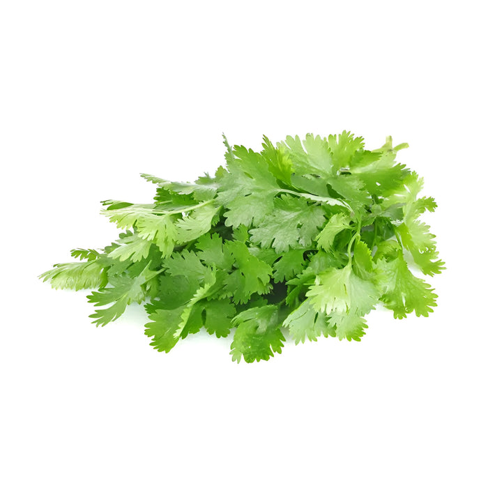 CILANTRO 60CT