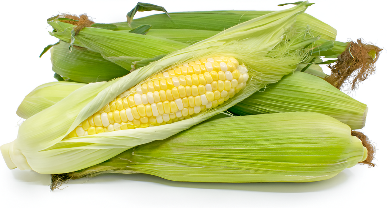 CORN BI-COLOR CRATE