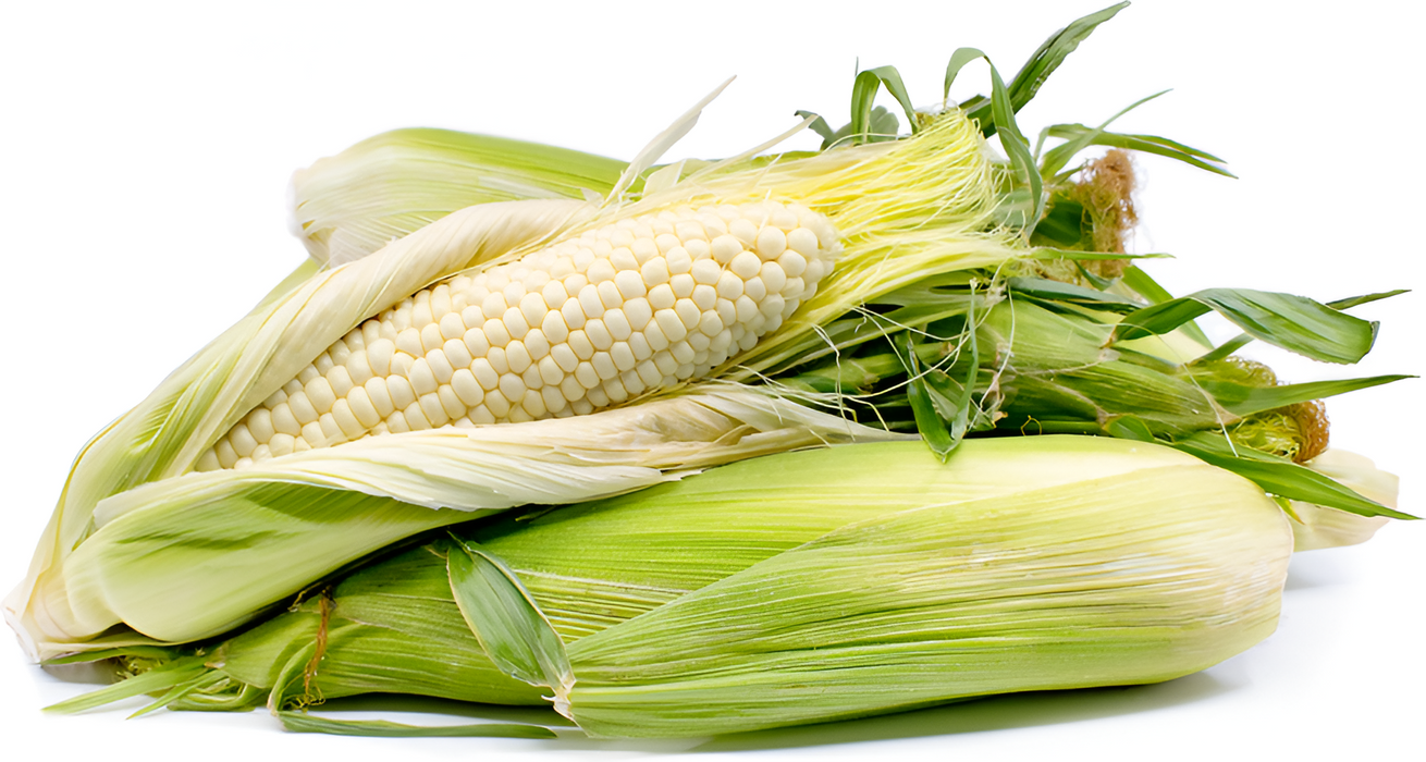 CORN WHITE CRATE