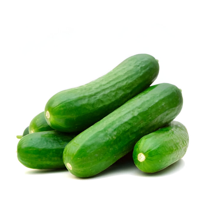 CUCUMBER SELECT CT