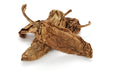 Chile Chipotle - 20 (20 lb), ASDS-AFRIVANA Bulk Wholesale Marketplace