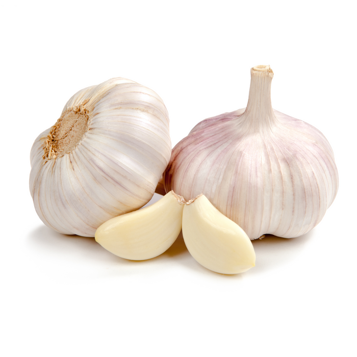 GARLIC SOCK 45/5CT