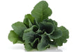 GREENS SOUTHERN BLEND - 8/1LB, ASDS-AFRIVANA Bulk Wholesale Marketplace