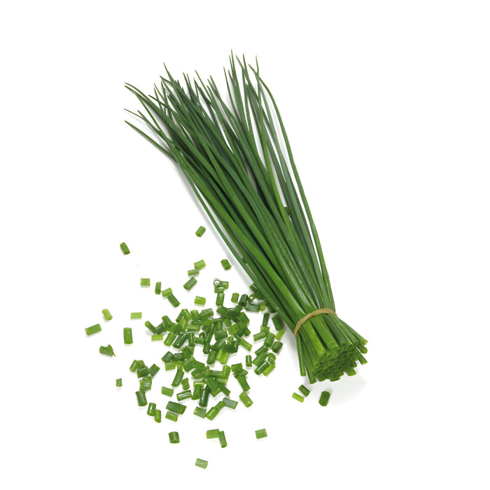 HERB CHIVES 1LB