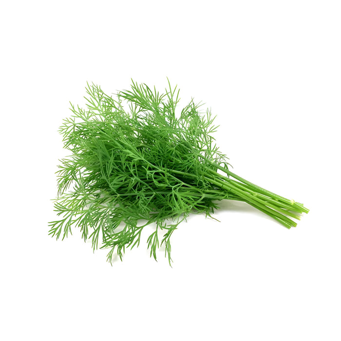 HERB DILL 4OZ