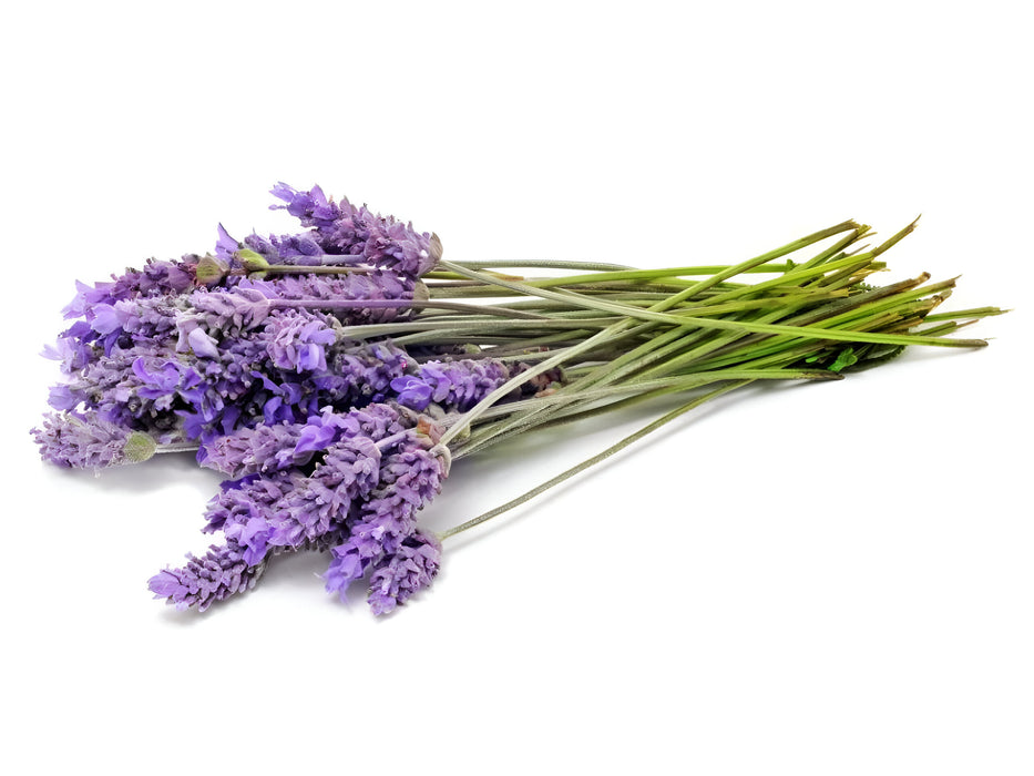 HERB LAVENDER 1LB