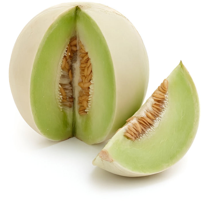 HONEYDEW 6CT
