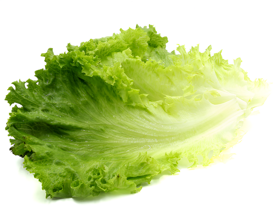 LETTUCE GR LEAF CRSP CLMSHL LB 6/4.5OZ
