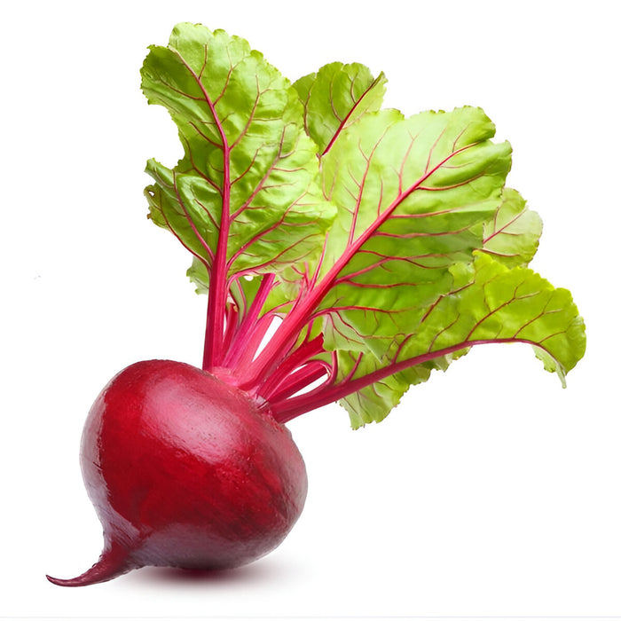 LOVE BEETS RED COOKED 10/17.6OZ