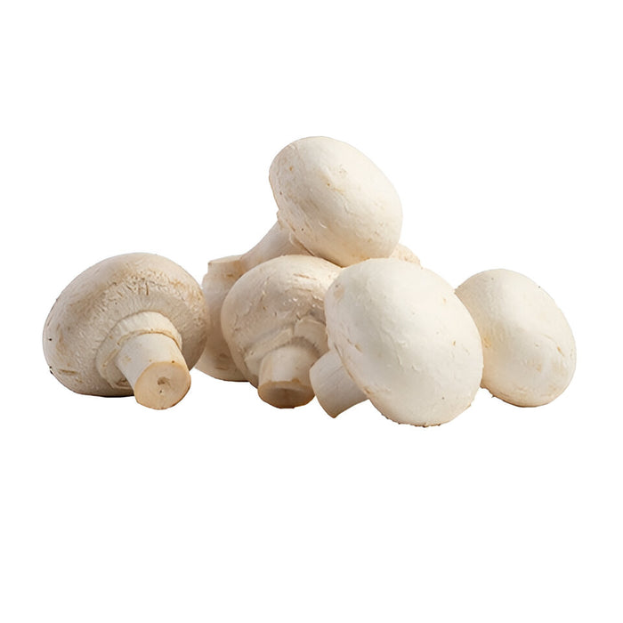 MUSHROOM BUTTON 10LB