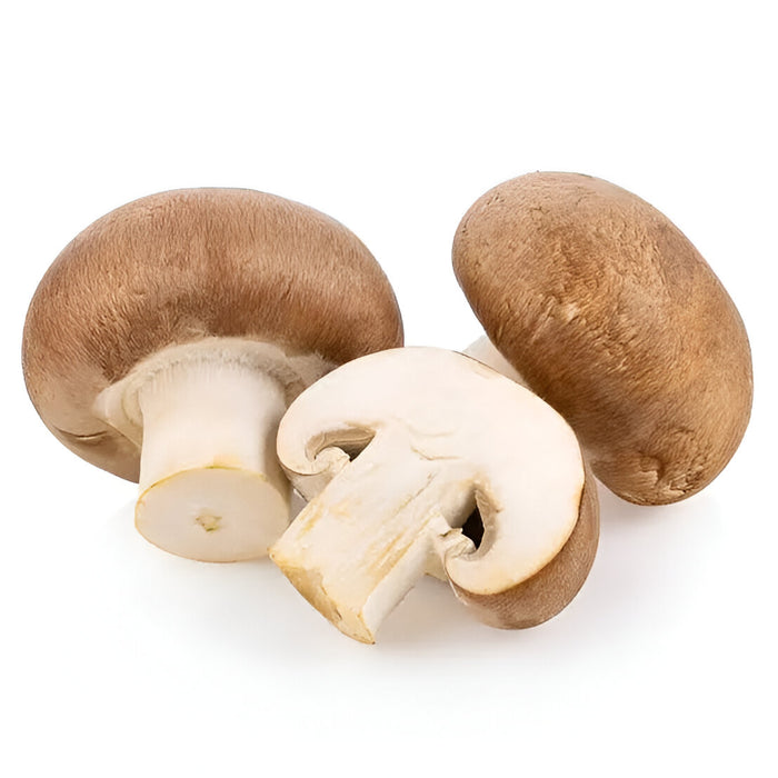 MUSHROOM CRIMINI 5LB