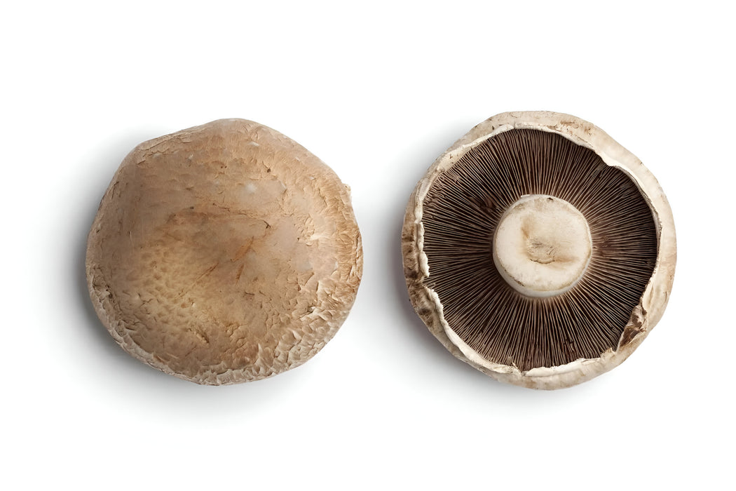 MUSHROOM PORTABELLO 5LB