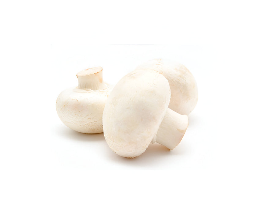 MUSHROOM SILVER DOLLAR 10LB