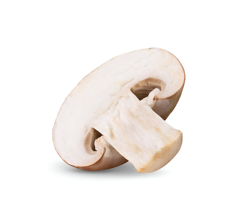 MUSHROOM SLICED THIN 5LB