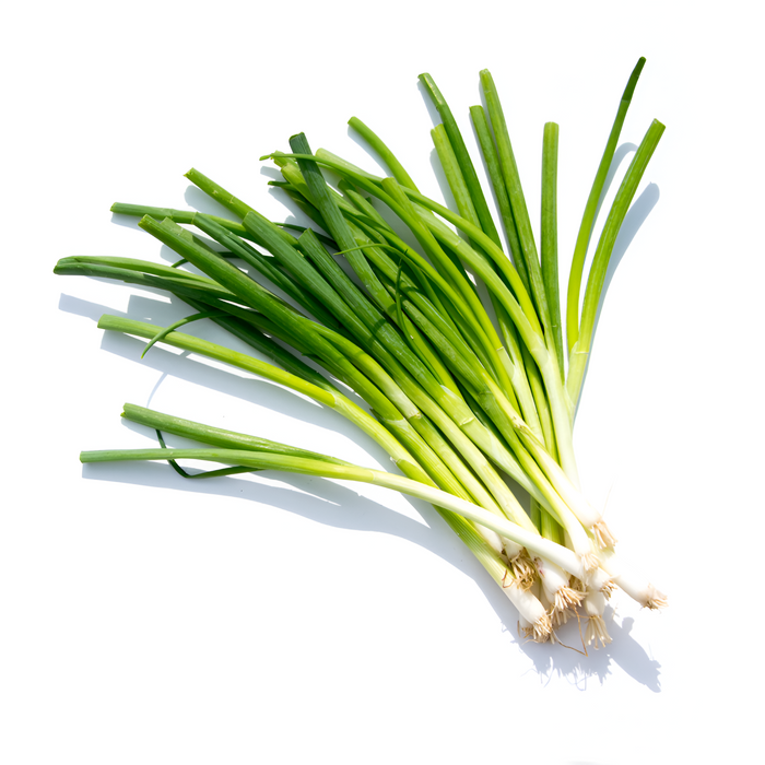 ONION GREEN ICELESS 4/2LB