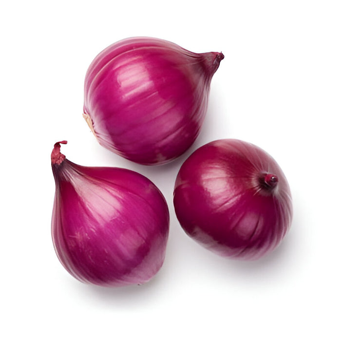 ONION RED 12/2LB