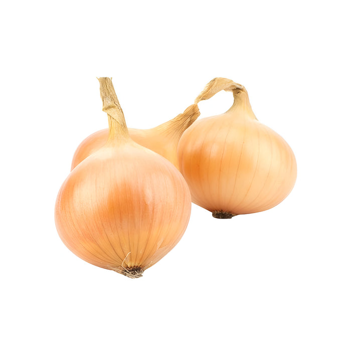 ONION SWEET JBO PERU 40LB