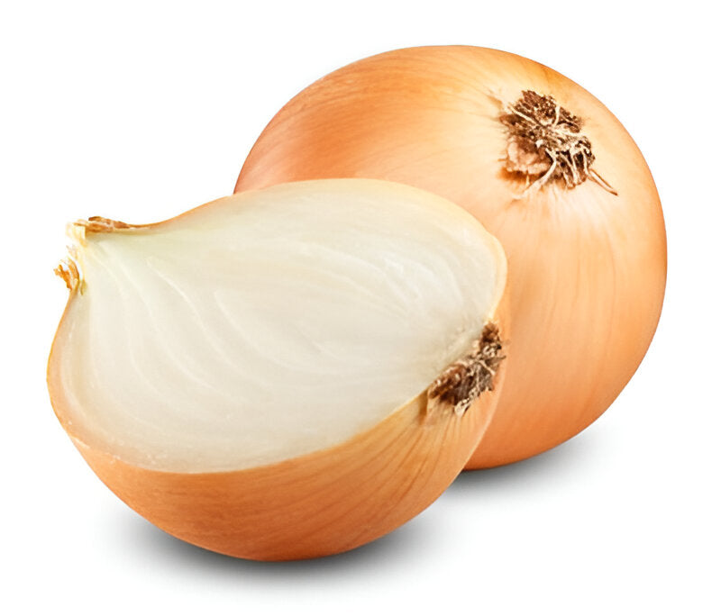 ONION YELLOW MED/LG 16/3LB