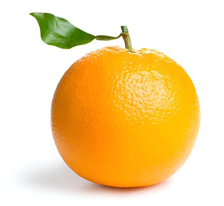 ORANGE NAVEL IMPORT 15KG 113CT