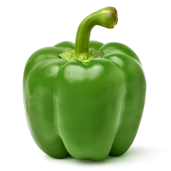 PEPPER GREEN X-LARGE CTN