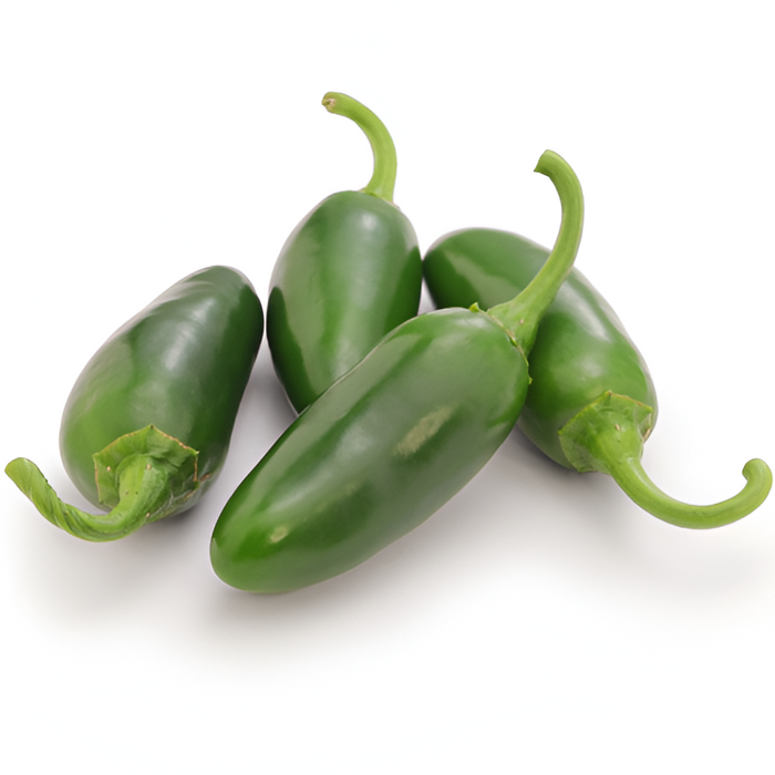 PEPPER JALAPENO CT