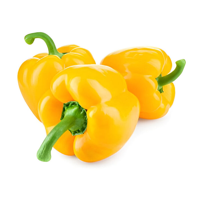 PEPPER ORANGE HOT HOUSE 11LB