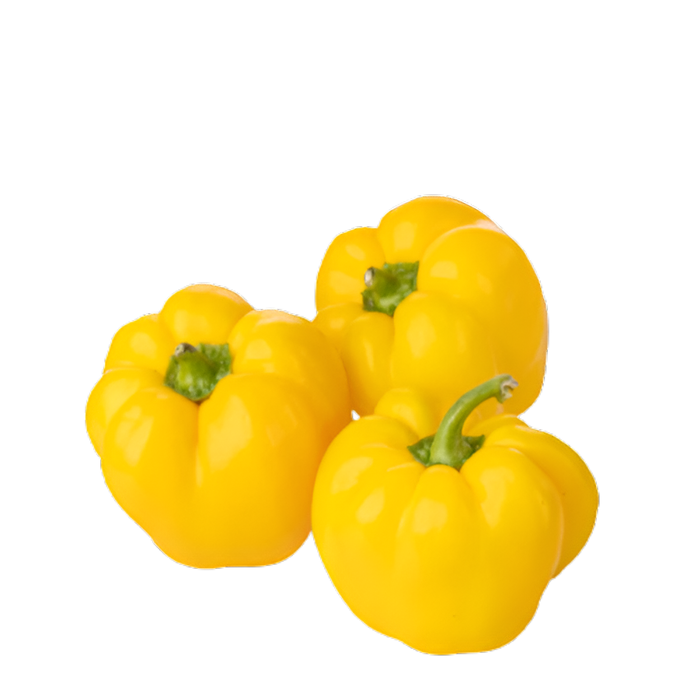 PEPPER YELLOW CTN