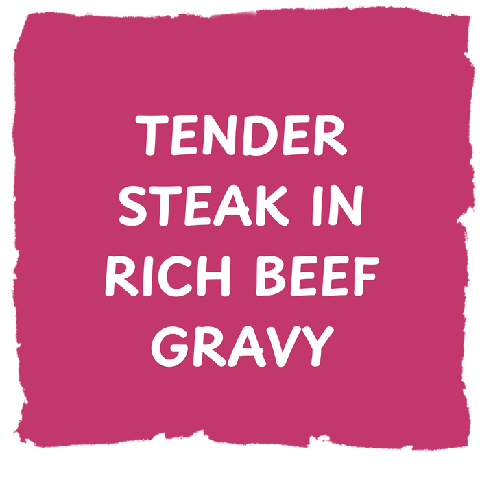 PIELANDER Steak & Gravy Pie 9oz