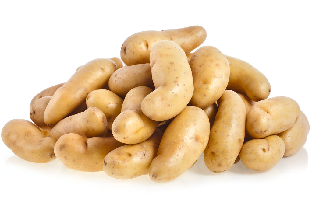 POTATO FINGERLING YELLOW 10LB