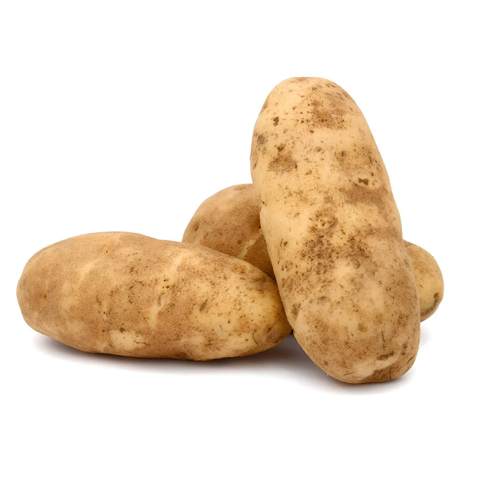 POTATO IDAHO 100CT