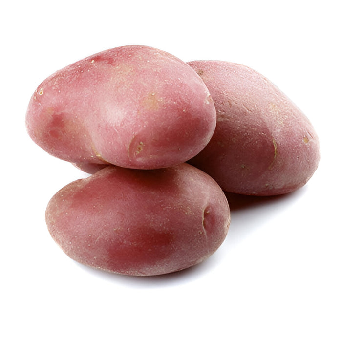 POTATO RED B #1 50LB