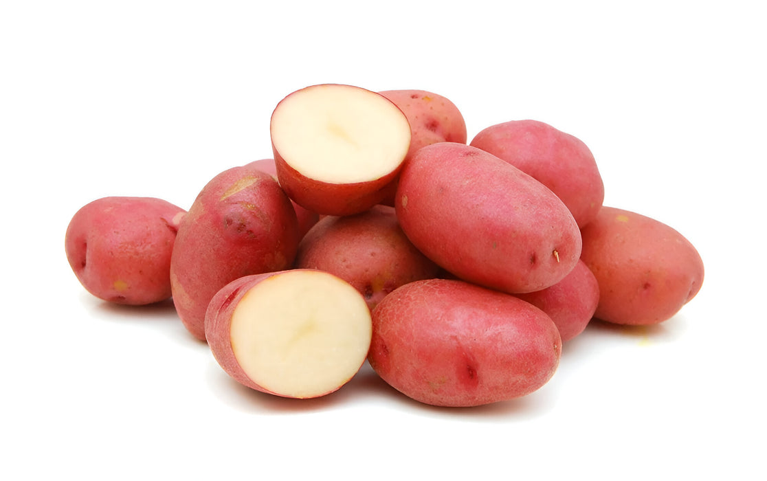 POTATO RED CREAMER 50LB