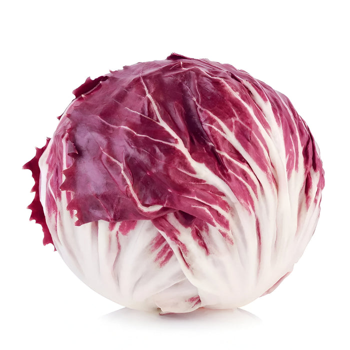 RADICCHIO 12CT