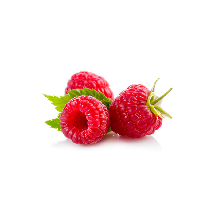 RASPBERRY DRISCOLL 12/60Z