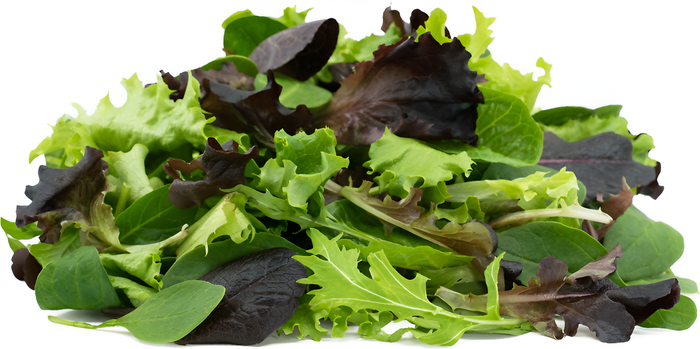 SPRING MIX 3LB