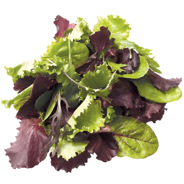 SPRING MIX ARCADIAN 4/3LB