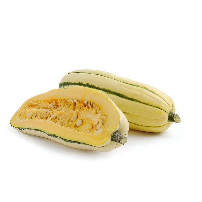 SQUASH DELICATIA CT