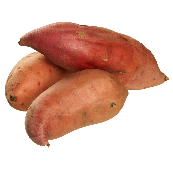 SWEET POTATO #2 N.C. 40LB