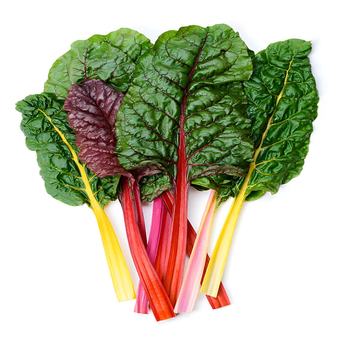 SWISS CHARD RAINBOW 1DZ