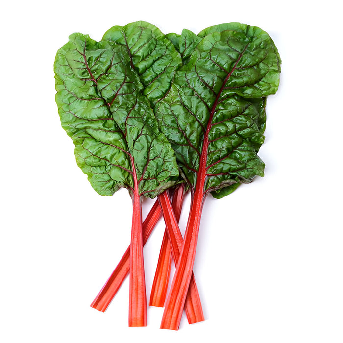 SWISS CHARD RED 1DZ